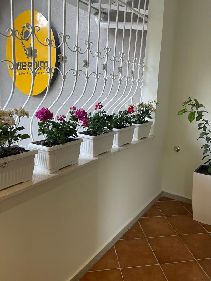 4Seasonsgea , Cozy Studio In Central Position , Тирана Экстерьер фото